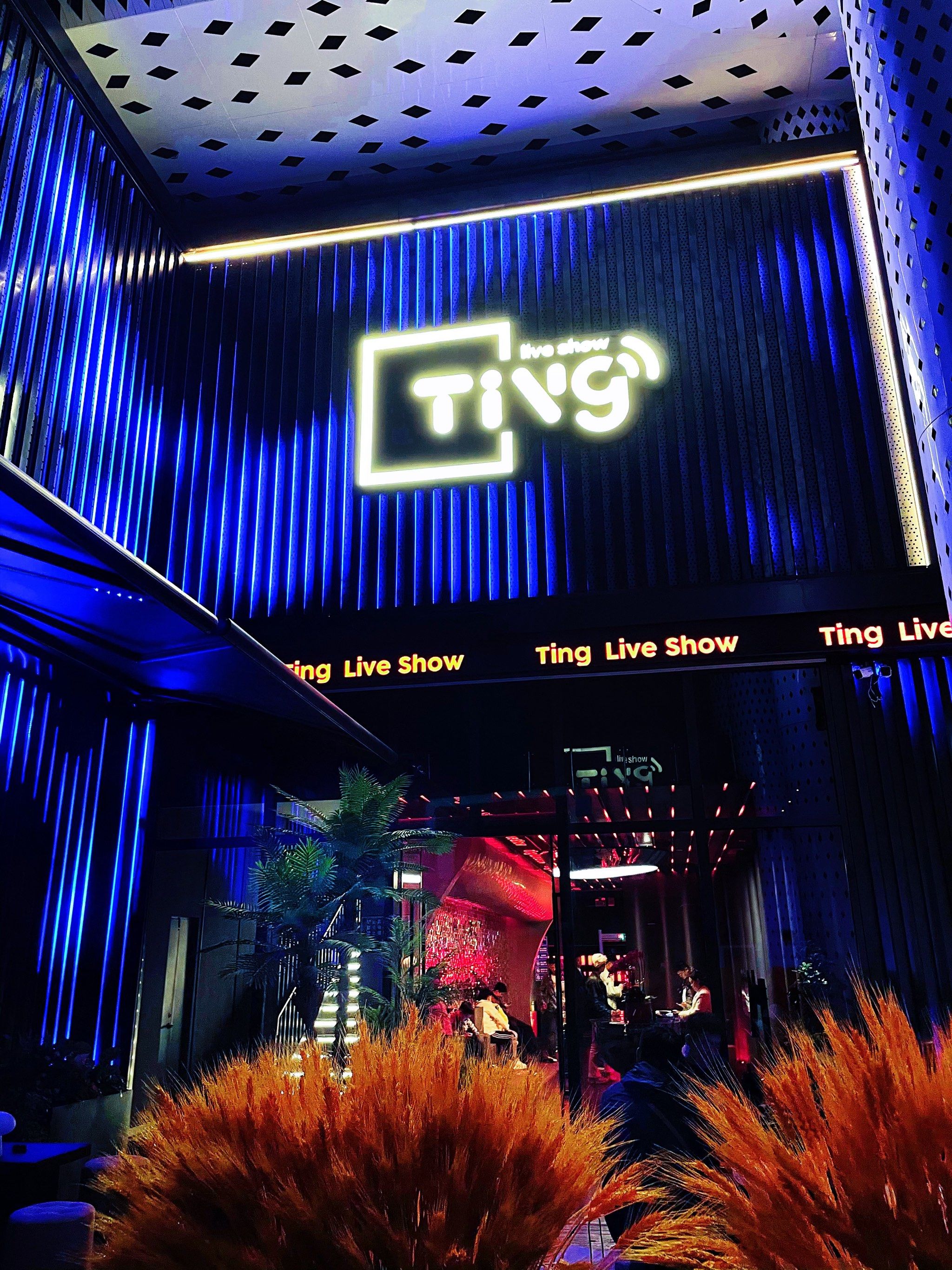 昭通商务ktv最佳推荐-巧家县ktv预订